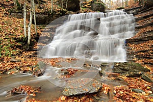 Casentino forest waterfalls