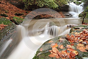 Casentino forest waterfalls