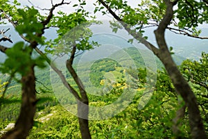 Casentino secular forest, one of the largest forest in Europe, extraordinarily rich in flora and fauna. Foot trail around La Verna