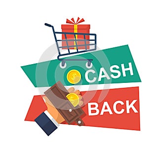 Cash back icon vector