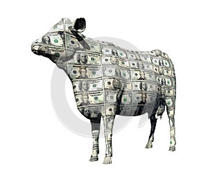 CASH COW SAVING RETIREMENT FINANCIAL PLANNING WEALTH MANAGEMENT INVESTMENT FUND CAPITAL GROWTH STOCK