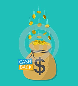 Cash money in sack. Cashback icon. Gold dollar coins in bag. Offer of save, refund money. Treasure or trophy sign. Banner of