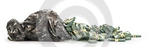 Cash out of a garbage bag isolated