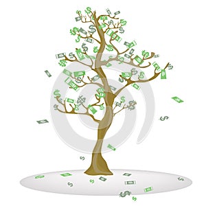 Cash tree.