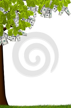 Cash Tree