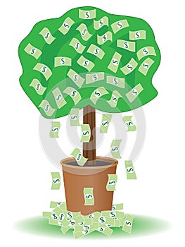 Cash tree