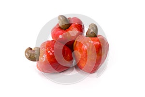 Cashew Fruit photo