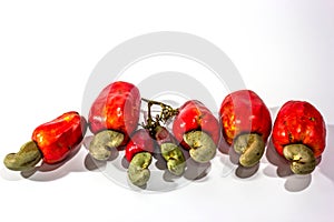 Cashew fruit and nuts