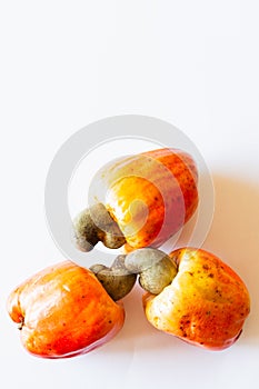 Cashew fruit with white background.