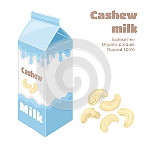 Cashew milk in carton box isolated on white background. Organic Dairy Free Vegan beverage.