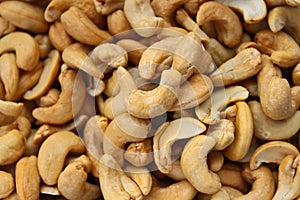 Cashew nut photo