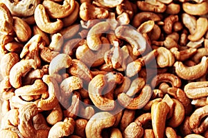 Cashew nut of Amazon