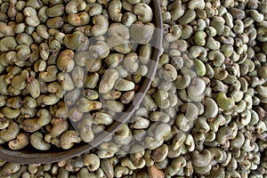 Cashew nuts or Sanguem at Goa, India photo