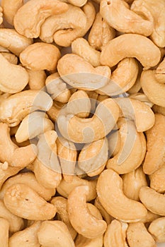 Cashews photo