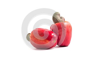 Cashews or Caju Fruit photo