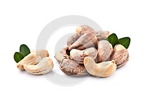 Cashews nuts