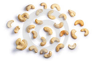 Cashews seeds of A. occidentale, top, paths photo