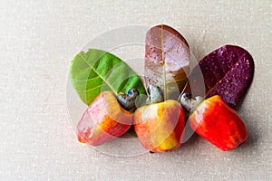 Cashews in textured background