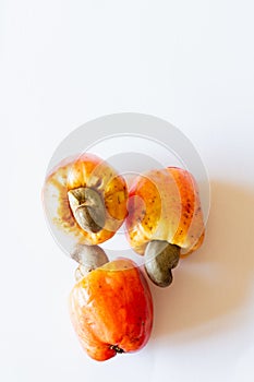 Cashews with white background.