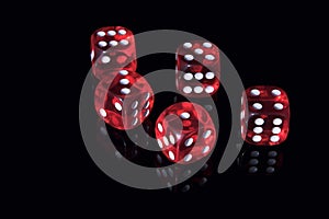 Casino dices