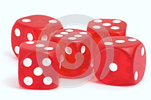 Casino dices