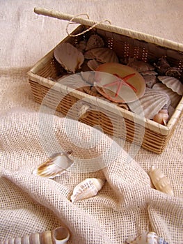 Casket with sea-shells