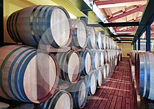 Casks in wine cellar