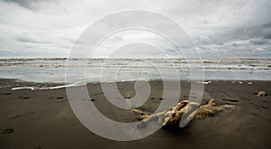 Caspian sea under blue sky in early September, snag on the beach