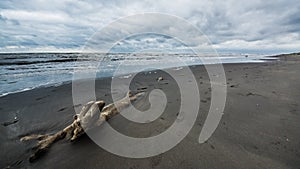 Caspian sea under blue sky in early September, snag on the beach