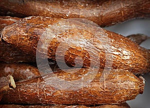 Cassava