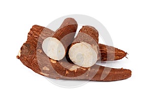 Cassava Manihot esculenta isolated on a white background