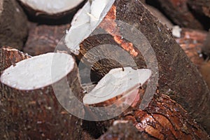 Cassava raw tuber Manihot esculenta