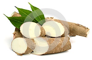 Cassava raw tuber - Manihot esculenta. Organic, tapioca. photo