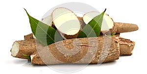 Cassava raw tuber - Manihot esculenta. Organic, tapioca.