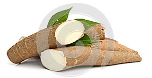 Cassava root isolated on white. photo
