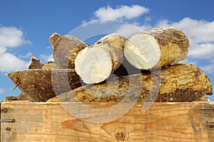 Cassava root and some pieces