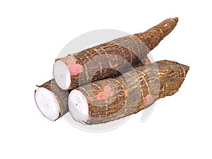 Cassava or Tapioca Root isolated on White Background