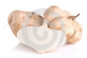 Cassava, Yam bean, Pachyrhizus erosus L. Urbar, Jicama on whit