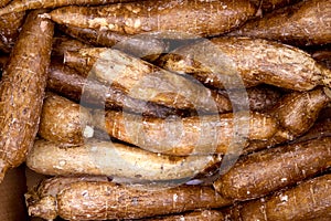 Cassava yucca rhizomes vegatable food pattern photo