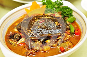 Casseroles stewed turtle