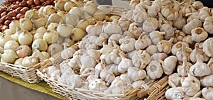 cassetta of onions and garlic