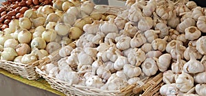 cassetta of onions and garlic photo