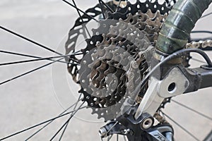 cassette and chain, Closeup bicycle gear wheels, mechanic gears cassette and chain at the rear wheel of folding bike