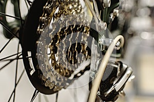 Cassette on the rear wheel of a mountain bike to change gears