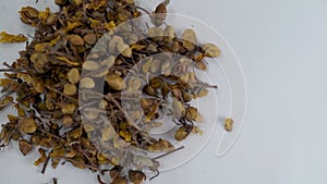 Cassia Auriculata Dried Herbs on White Background: Golden Elixir, Top View with text space