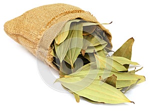 Cassia leaves in sack