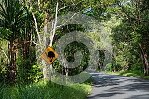 Cassowaries sign, Queensland, Australia