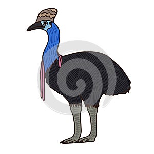 Cassowary Aussie bird color vector character side view