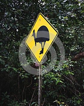 Cassowary Crossing Road Sign warning