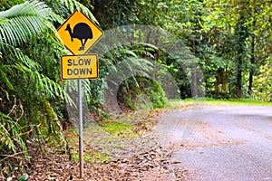 Cassowary road warning sign